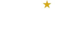 Auriga Services